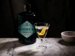 hendricks-gin-orbium-2-1.jpg