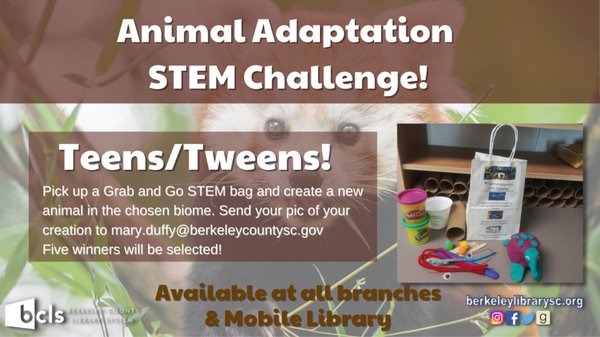 Animal-Adaptation-STEM-Challenge.png