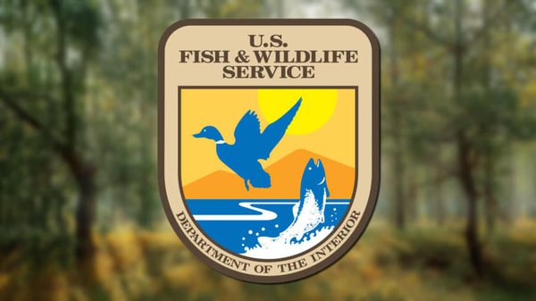 us-fish-and-wildlife-service-department-of-the-interior-860x484-1.jpg