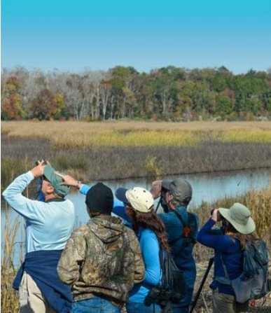 Screenshot 2024-01-18 at 17-55-23 Birding Charleston County Parks and Recreation.png