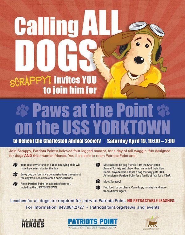 paws-at-the-Point-flyer.jpg