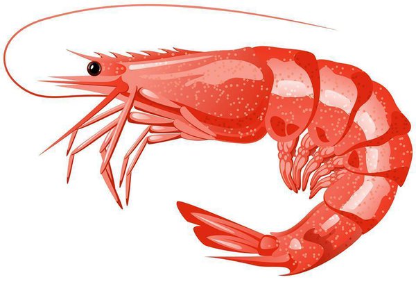 shrimpgrits.jpg