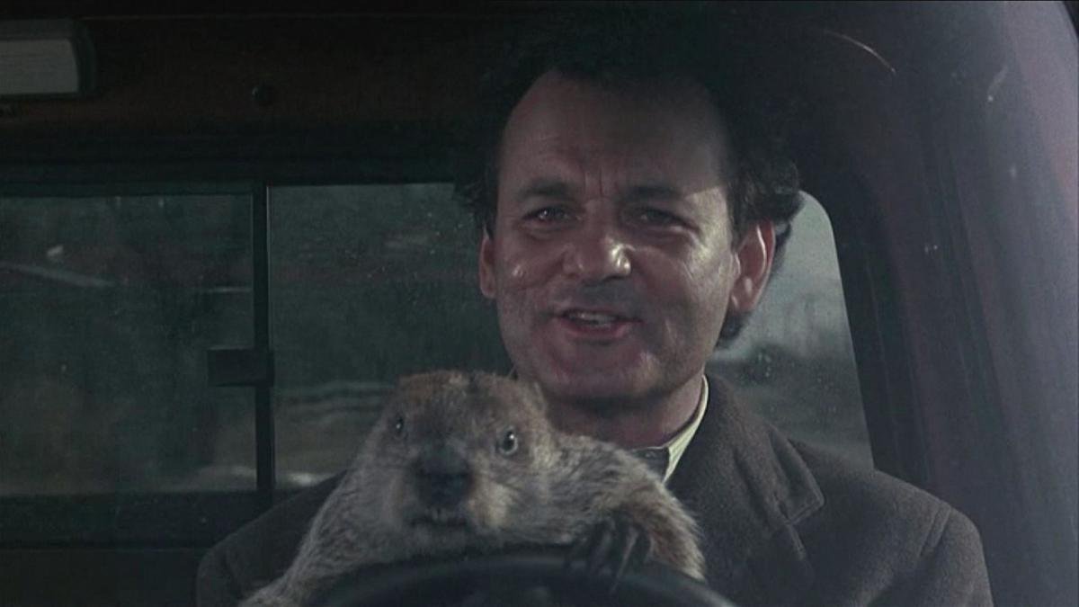 Groundhog Day Turns 20 - Site Name