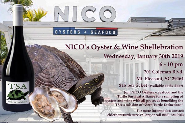 NICOs-Oyster-and-Wine-Shellebration.jpg