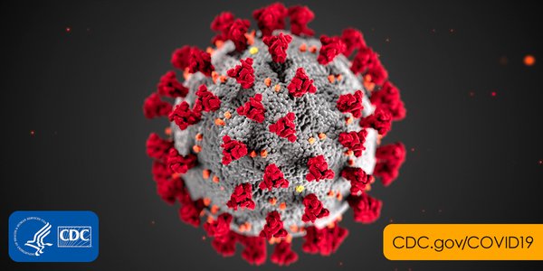 2019-coronavirus.png.jpg