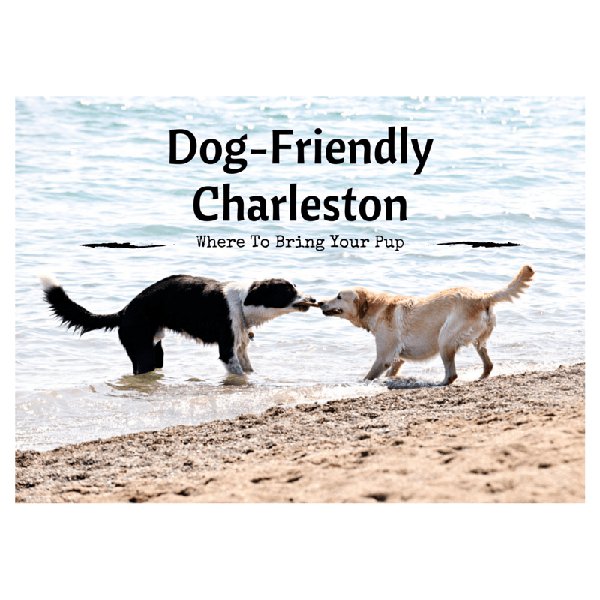 Dog-FriendlyCharleston2.png