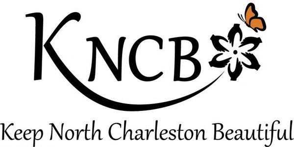 KNCB-Logo-With-Name-768x386-1.jpg