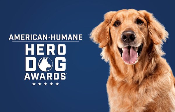 hero-dog-2020-1.jpg