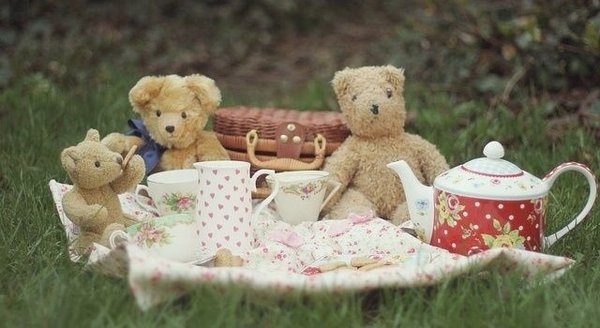 Tea-Teddy-Bear-CRPD640x350.jpg