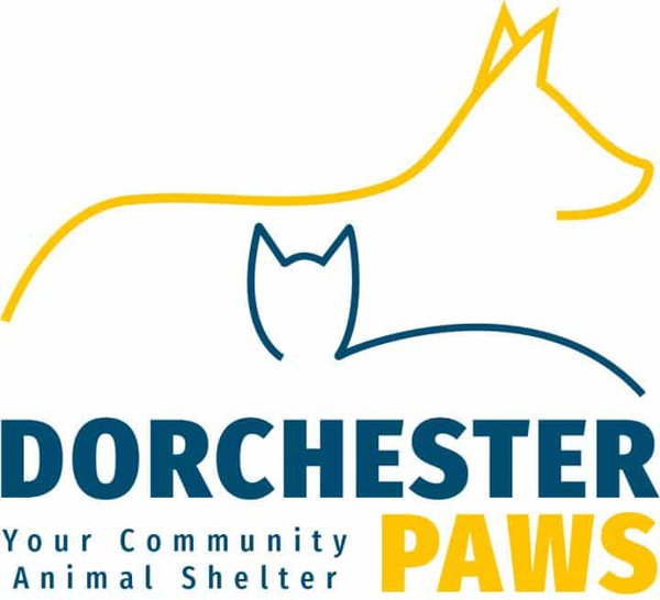 dorchesterpaws.jpg