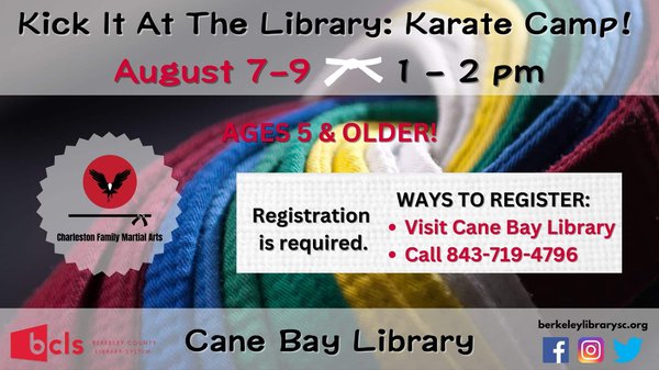 Kick-It-At-The-Library-Karate-Camp.jpg