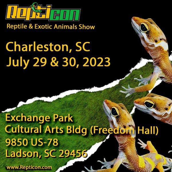 Charleston-SC-July2930-2023-Insta-600x600-1.jpg