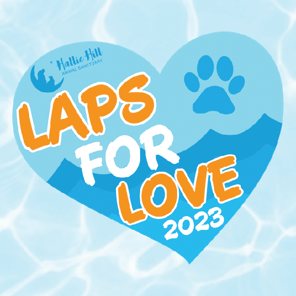 Screenshot-2023-07-24-at-16-49-04-Laps-for-Love-Hallie-Hill-Animal-Sanctuary.png