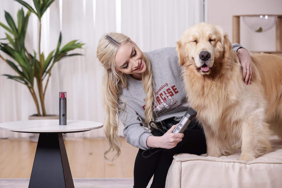 Golden top retriever clippers