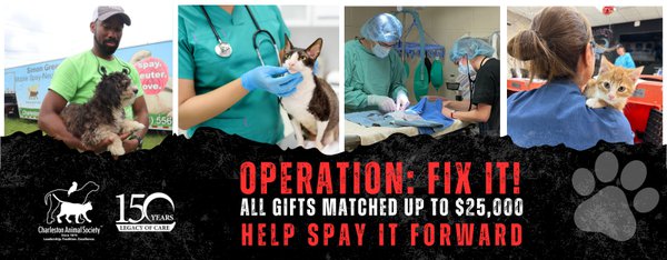 help-spay-it-forward.png