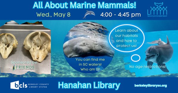 All About Marine Mammals 1200 x 628 px.png