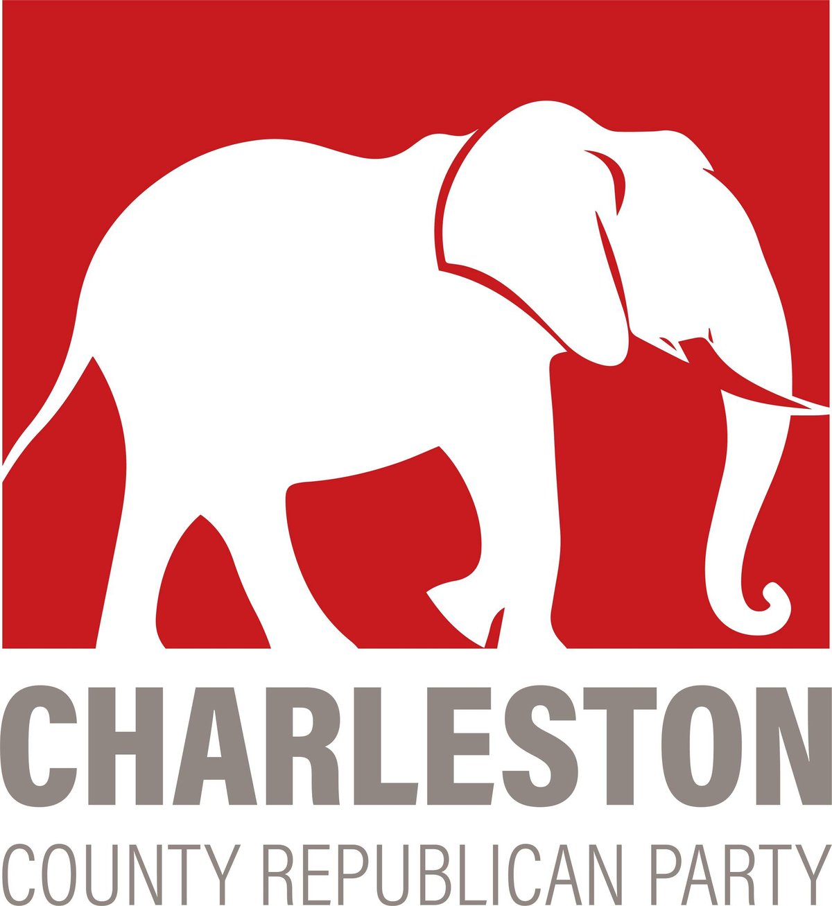 Rep. Nancy Mace Wins Charleston County Republican Party Straw Poll