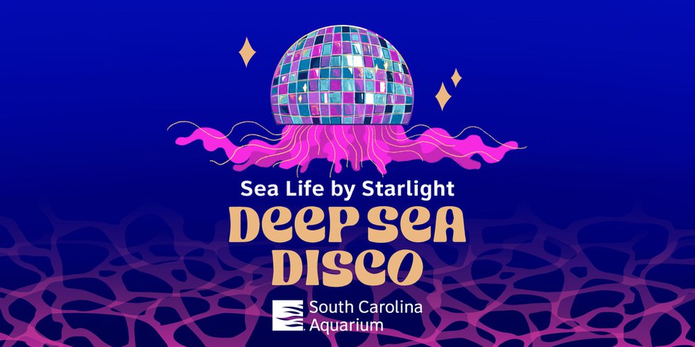 Sea Life By Starlight Deep Sea Disco at the South Carolina Aquarium.jpg