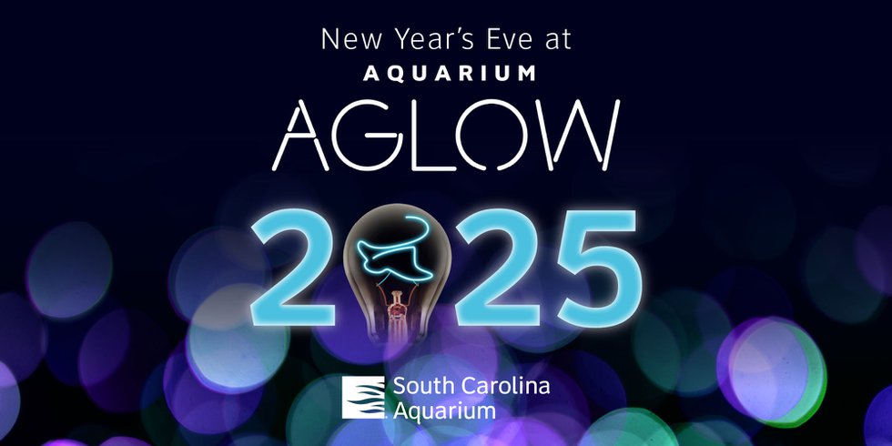 New Year's Eve at the South Carolina Aquarium.jpg