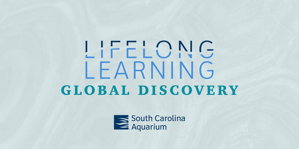 Lifelong Learning Global Discovery.jpg