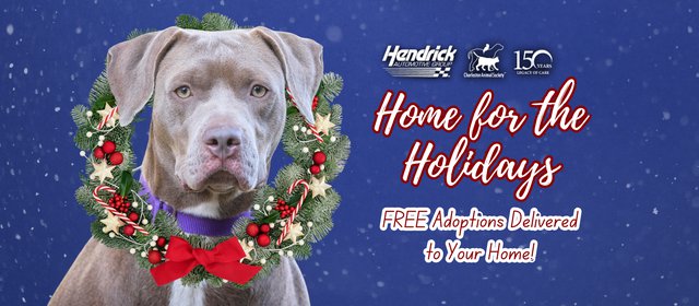 home-for-the-holidays-24-fb-banner.png